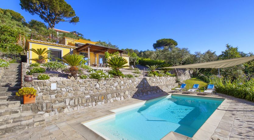 Photo of Painted Paradise