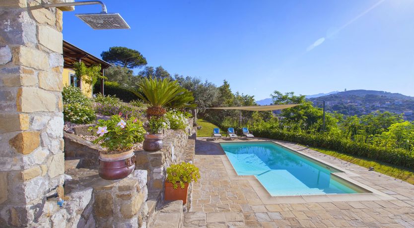 Photo of Painted Paradise