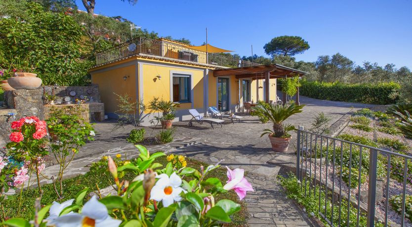 Photo of Painted Paradise