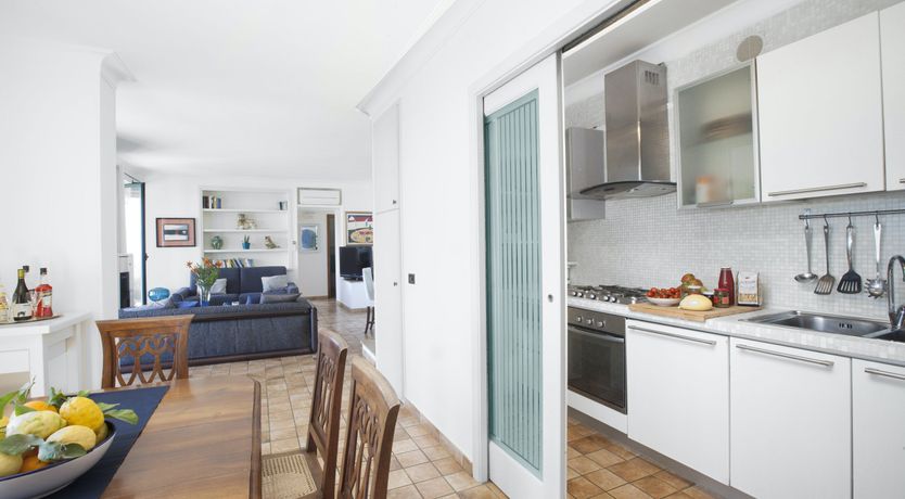 Photo of Painted Paradise