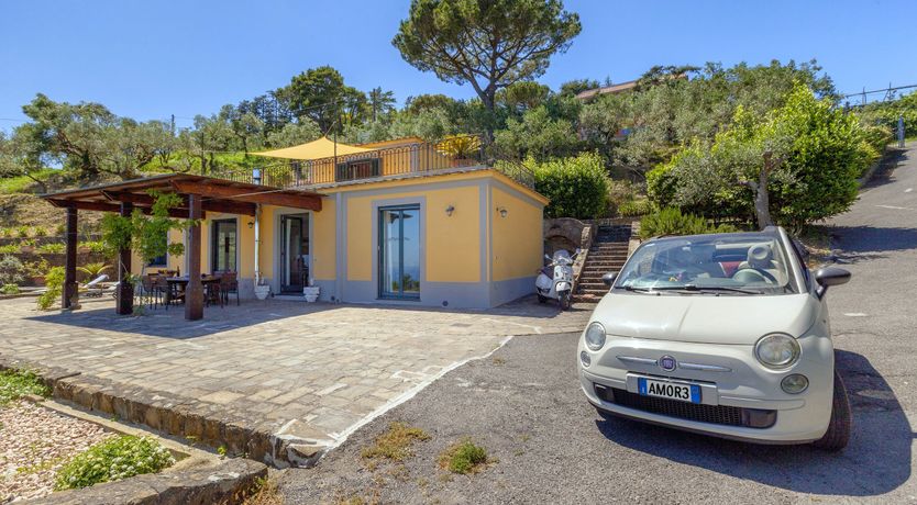 Photo of Painted Paradise