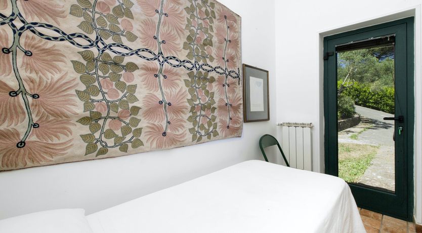 Photo of Painted Paradise