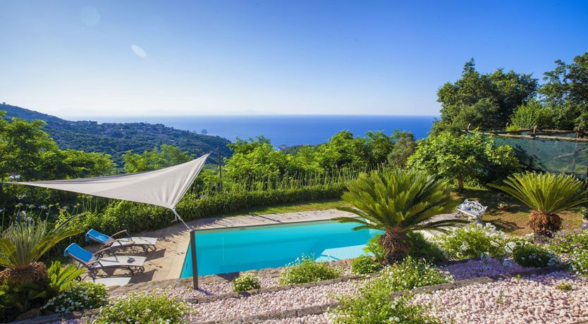 Photo of Painted Paradise