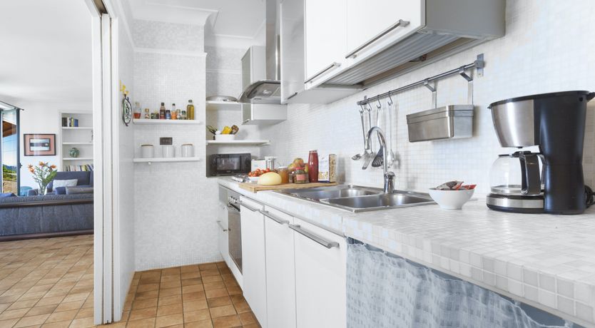 Photo of Painted Paradise