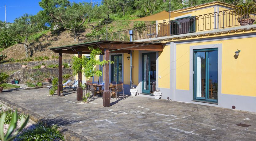 Photo of Painted Paradise