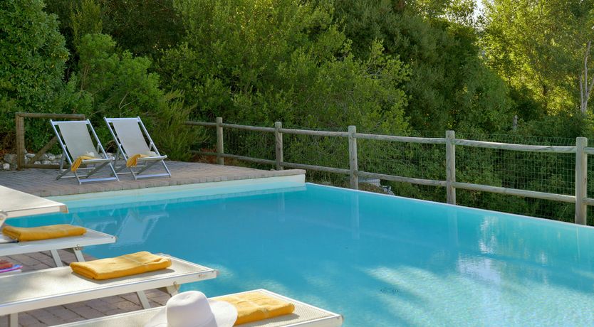 Photo of The Grapes of Love