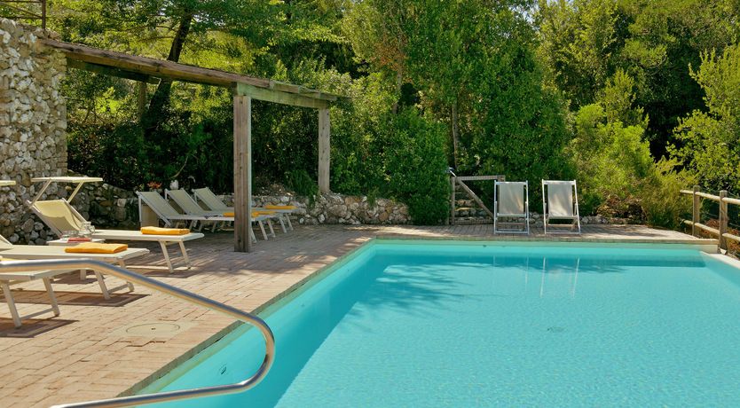 Photo of The Grapes of Love