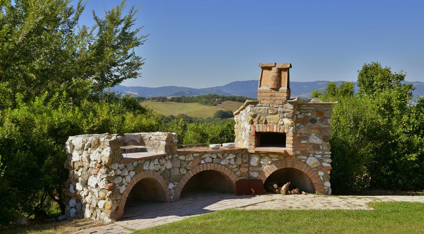 Photo of The Grapes of Love