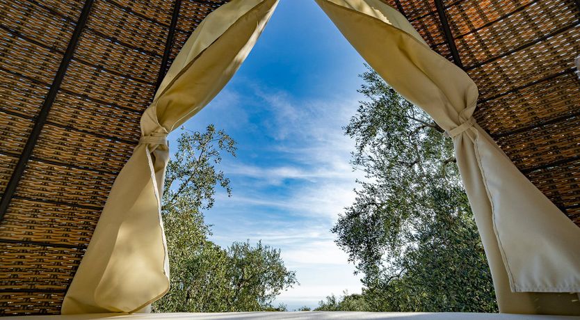 Photo of A Painted View