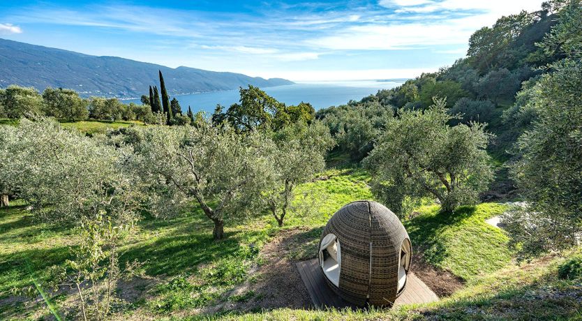 Photo of A Painted View