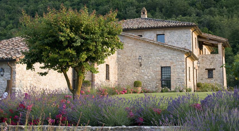 Photo of Olive & Roses