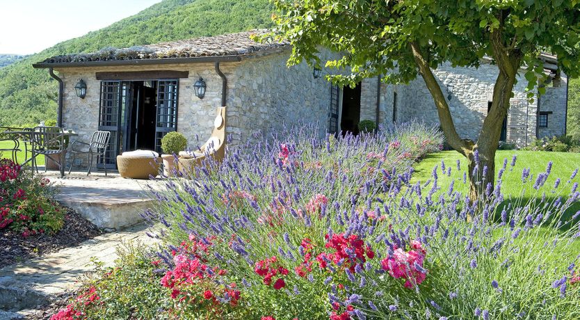 Photo of Olive & Roses