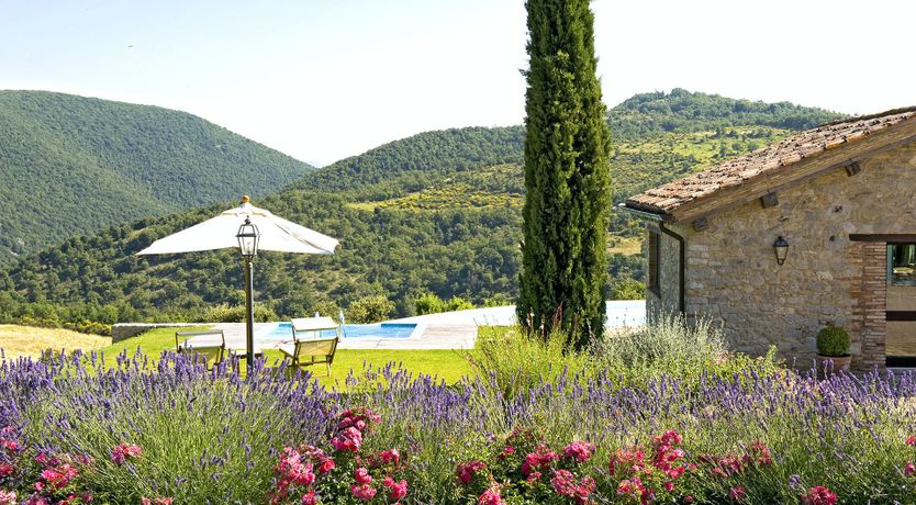 Photo of Olive & Roses