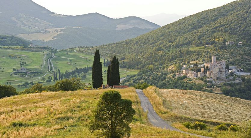 Photo of Olive & Roses