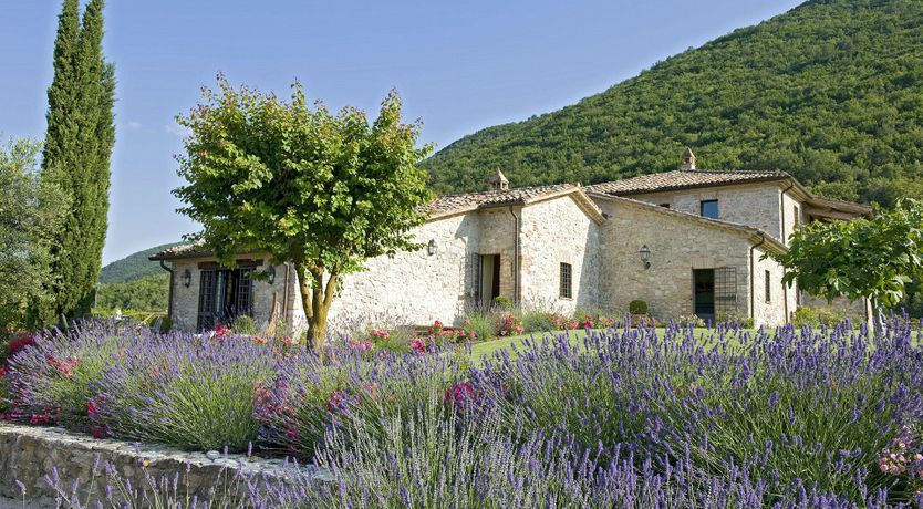 Photo of Olive & Roses