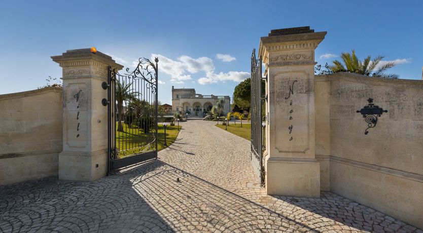 Photo of Forest of Dreams