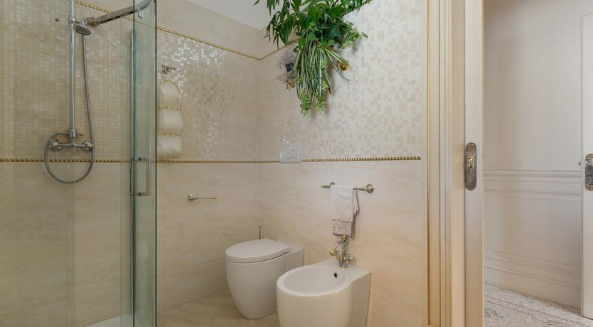 Photo of Forest of Dreams