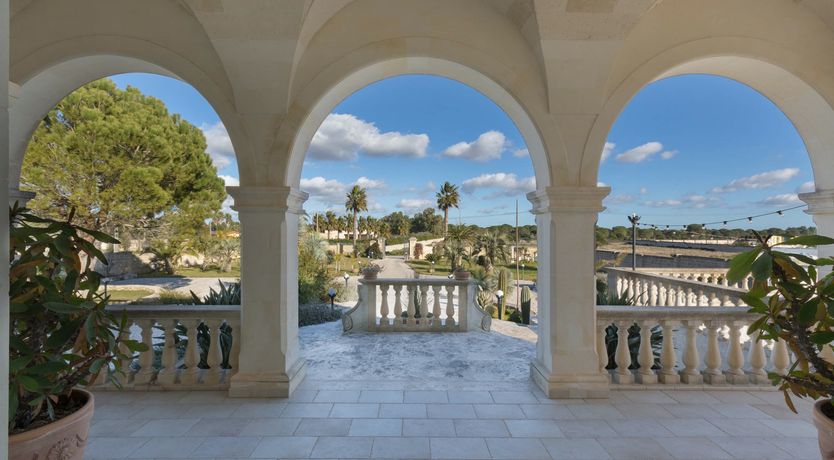 Photo of Forest of Dreams