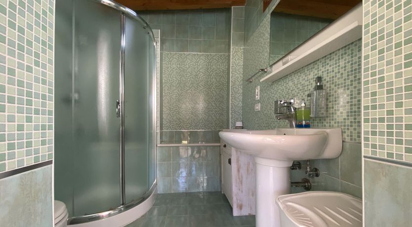 Photo of Forest of Dreams