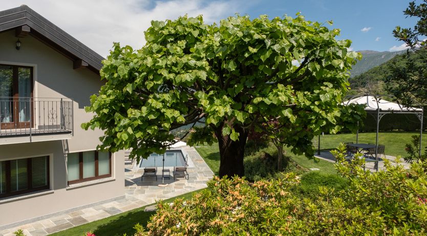 Photo of Chasing Dreams