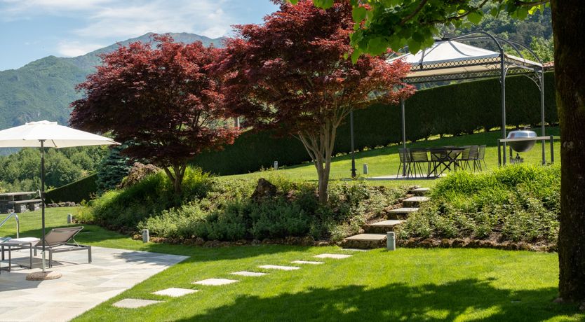 Photo of Chasing Dreams