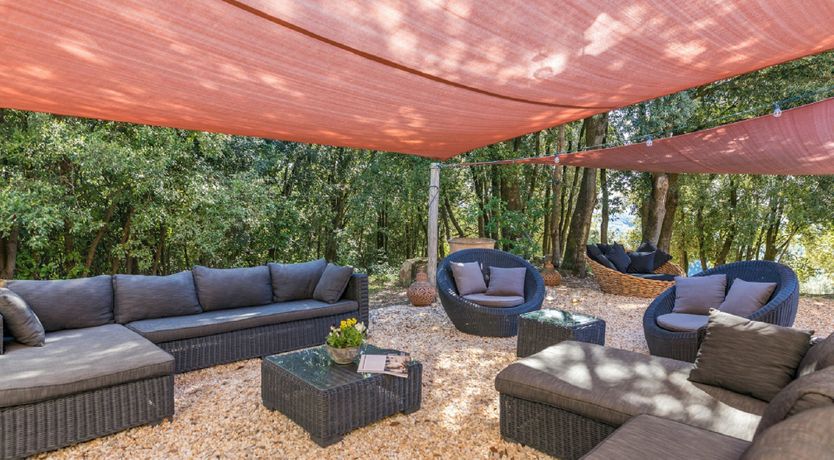 Photo of The Olive House