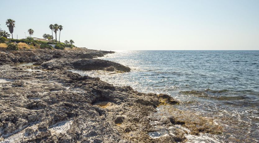 Photo of Seafront Haven