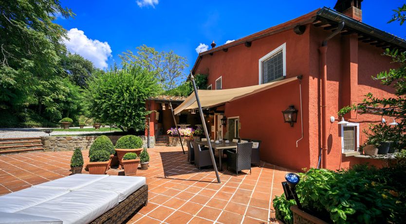 Photo of Bluebells & Grapes