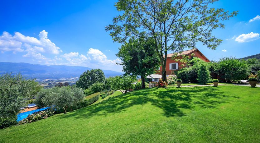 Photo of Bluebells & Grapes