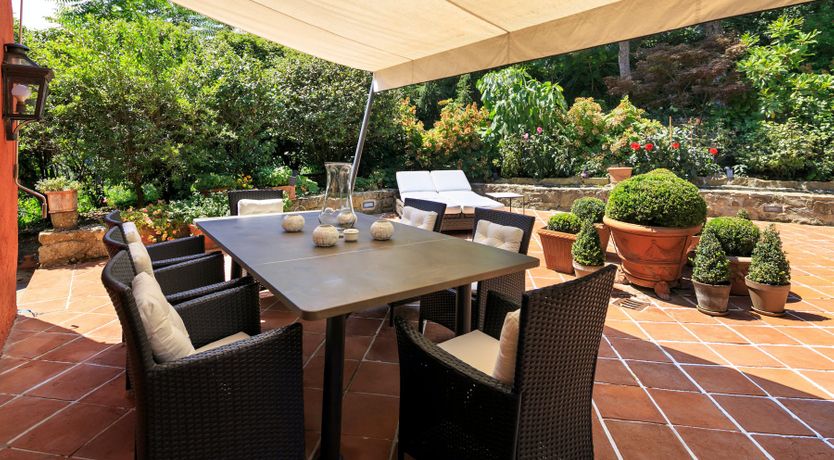 Photo of Bluebells & Grapes