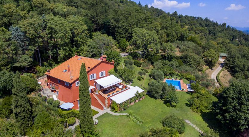 Photo of Bluebells & Grapes
