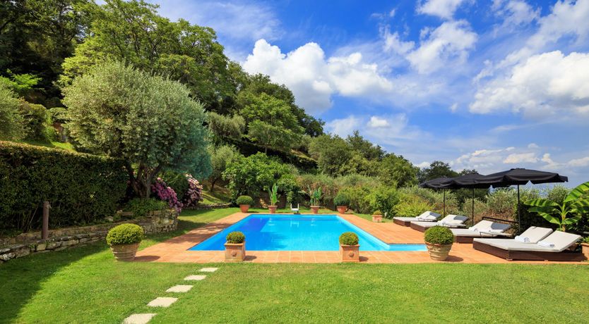 Photo of Bluebells & Grapes