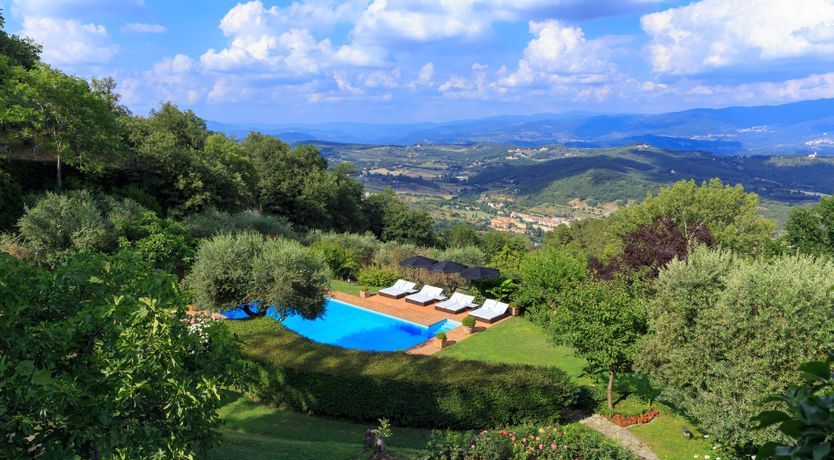 Photo of Bluebells & Grapes