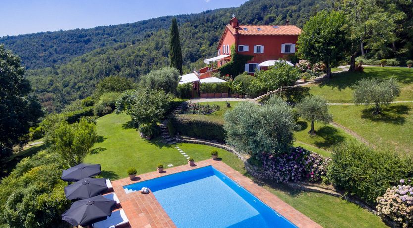 Photo of Bluebells & Grapes