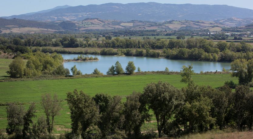 Photo of Wild Branch