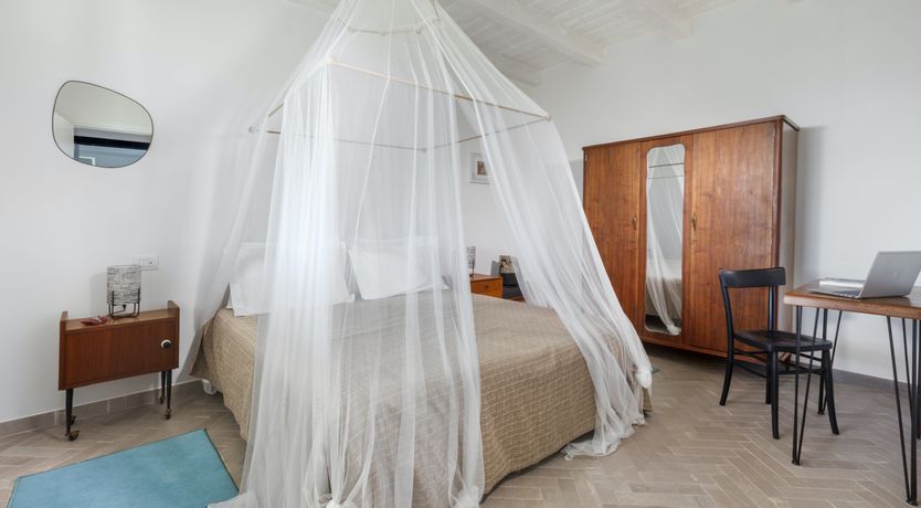 Photo of Wild Branch