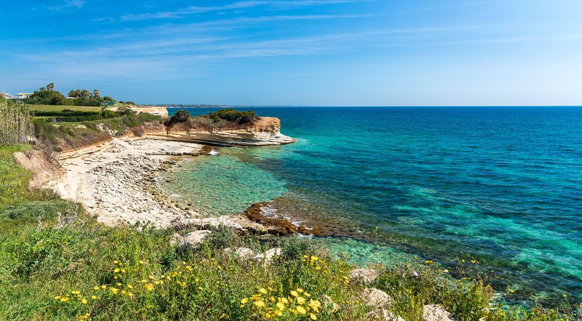 Photo of The Garden of Life