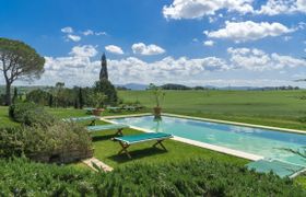 Photo of the-vines-of-tuscany