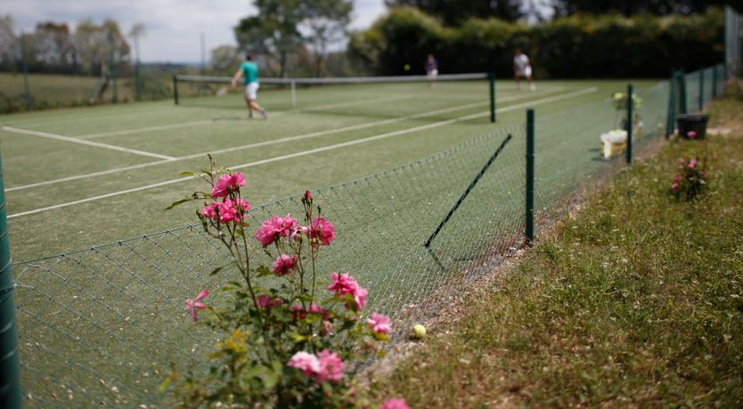 Photo of The Vines of Tuscany