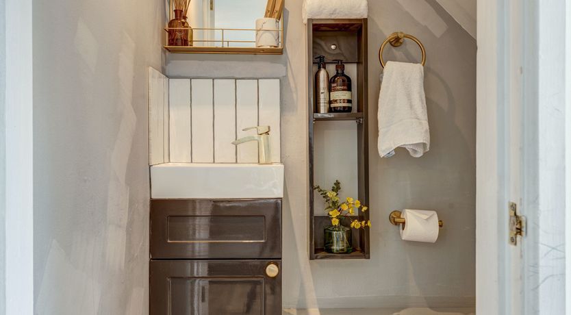 Photo of Beneath the Trees