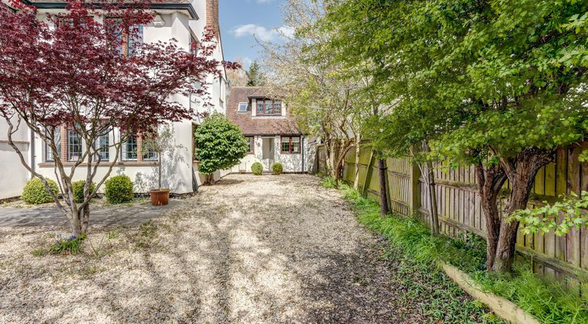 Photo of Beneath the Trees