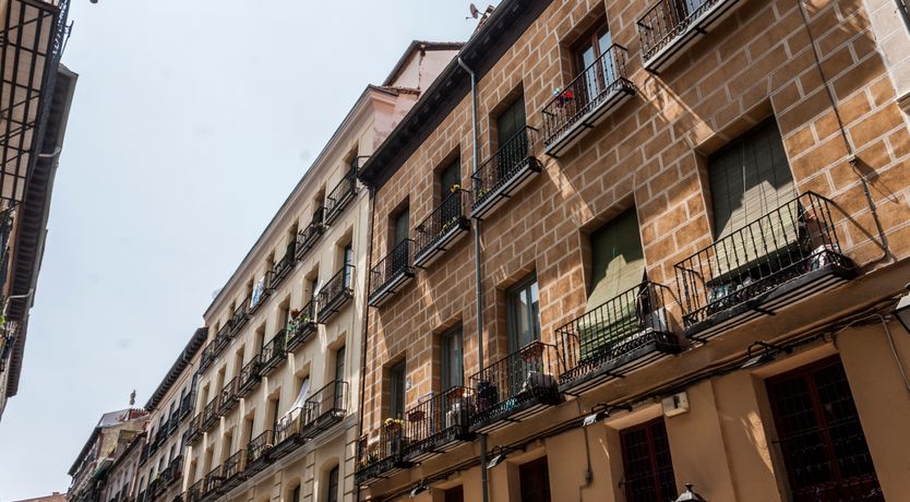 Photo of Royal Indigo