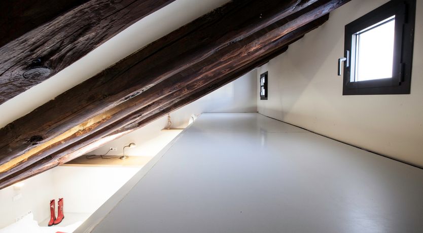 Photo of Royal Indigo