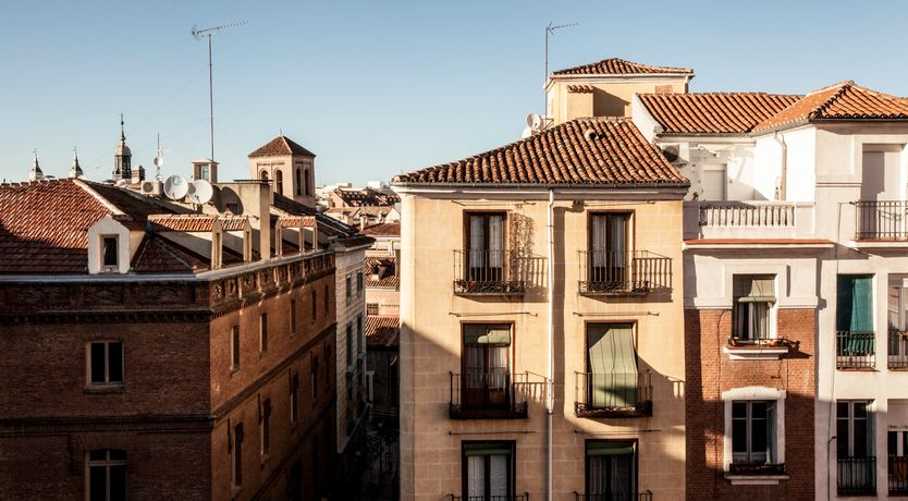 Photo of Royal Indigo