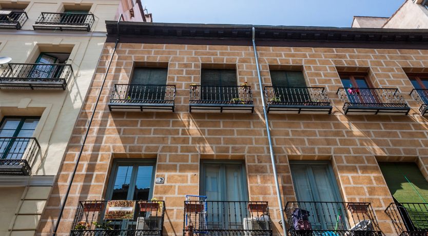 Photo of Royal Indigo