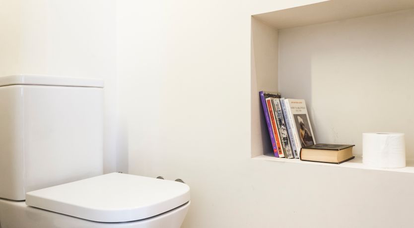 Photo of Royal Indigo