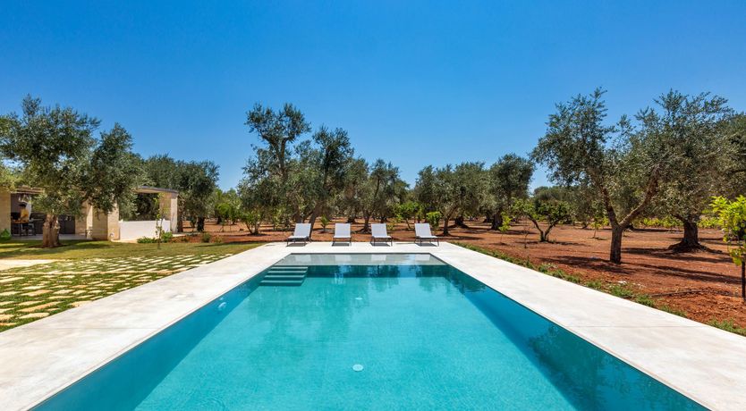 Photo of Citrus & Stone