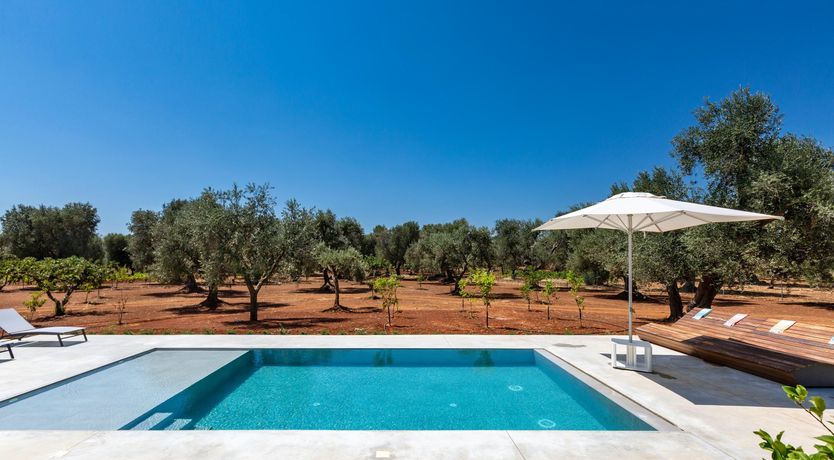 Photo of Citrus & Stone