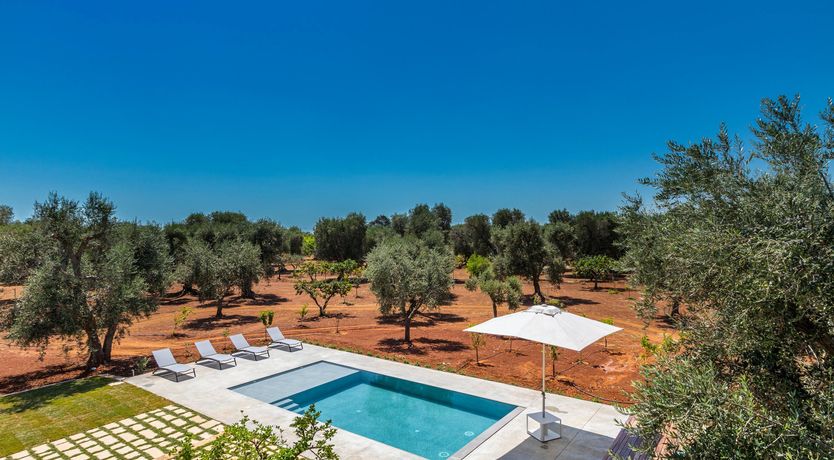 Photo of Citrus & Stone