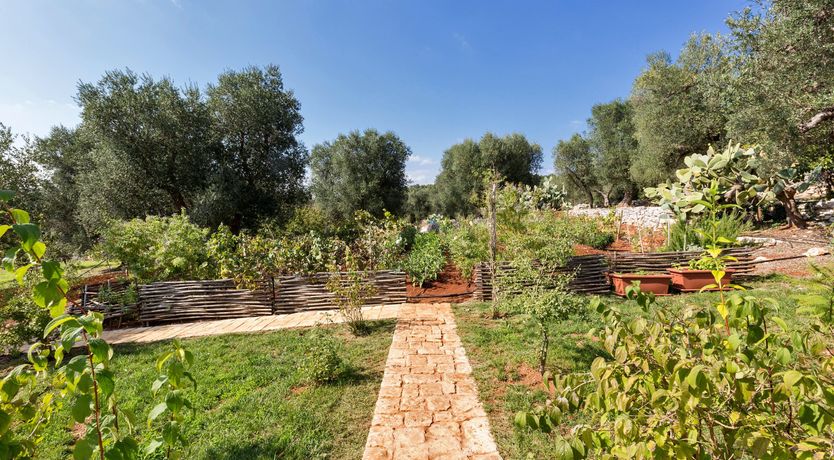 Photo of Valley of the Olive Trees